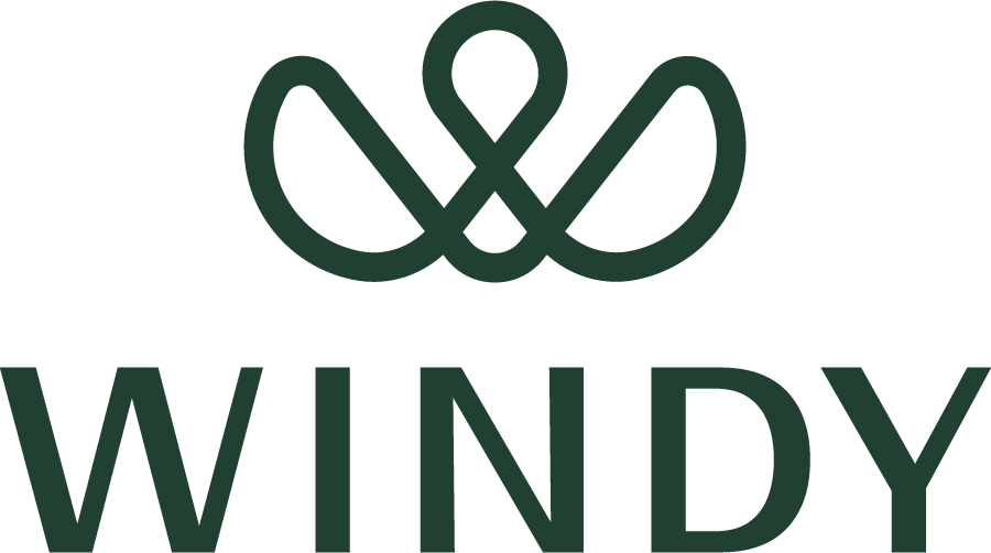 WindyStore